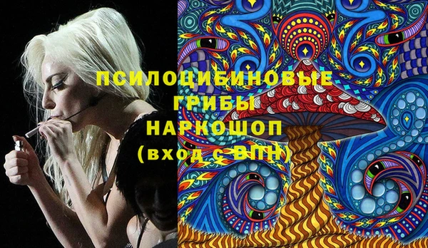 mix Белокуриха